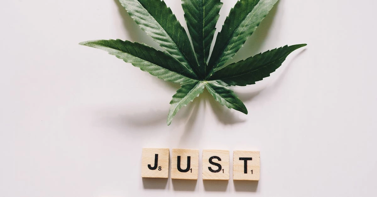 Каллиграфические элементы в дизайне современных игровых автоматов