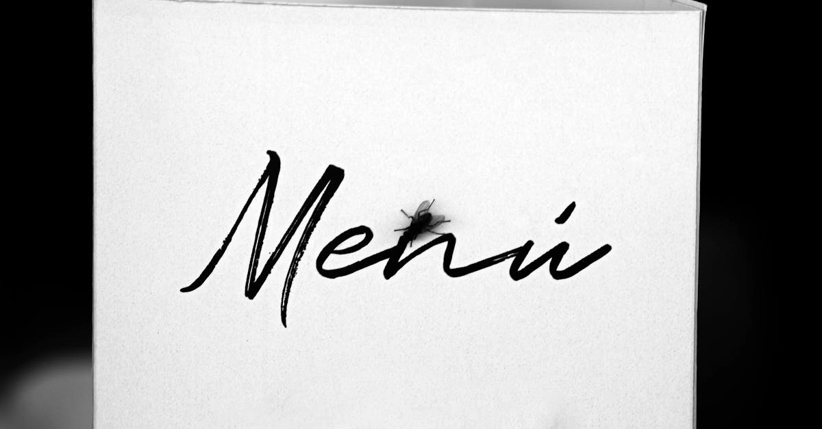 Каллиграфические принципы в современном визуальном дизайне